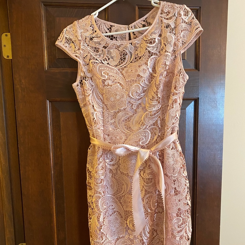 ADRIANNA PAPELL Blush Pink Lace Dress